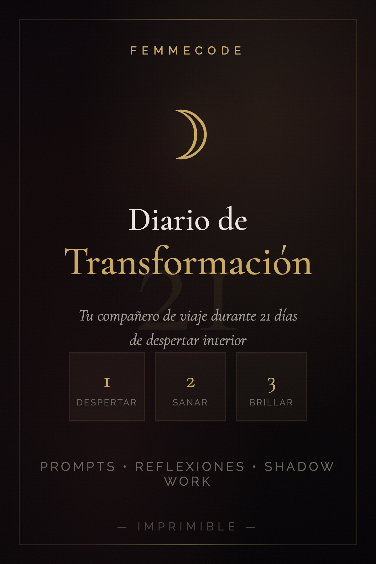 Bonus: Diario de Transformación